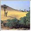 The Mazghuna Pyramids